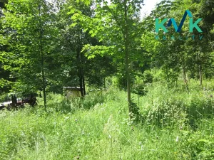 Prodej pozemku, Nejdek, 3489 m2