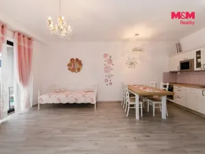 Prodej bytu 2+kk, Plzeň - Jižní Předměstí, Železná, 65 m2