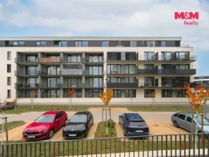 Prodej bytu 2+kk, Plzeň - Jižní Předměstí, Železná, 65 m2
