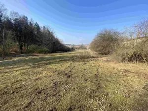 Dražba louky, Syřenov, 1443 m2