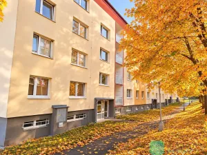 Pronájem bytu 2+kk, Osek, Dolejšova, 43 m2