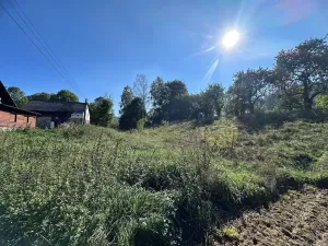 Prodej pozemku pro bydlení, Rynoltice, 3863 m2