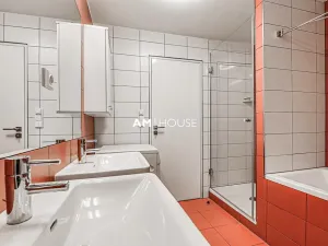 Pronájem bytu 4+kk, Praha - Vinohrady, Mánesova, 130 m2