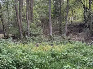 Prodej rybníku, Vráž, 3145 m2