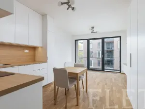 Pronájem bytu 1+kk, Praha - Karlín, Švarcova, 36 m2