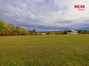 Prodej louky, Lužany - Zelené, 5700 m2
