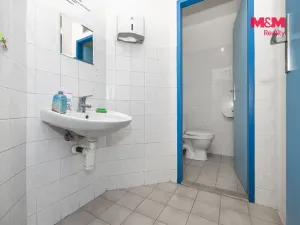 Pronájem kanceláře, Pardubice - Zelené Předměstí, 137 m2