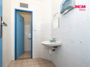 Pronájem kanceláře, Pardubice - Zelené Předměstí, 137 m2