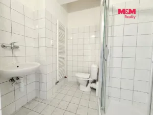 Pronájem bytu 1+kk, Praha - Dejvice, Koulova, 61 m2