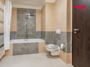 Prodej bytu 3+1, České Budějovice - České Budějovice 2, Volejbalistů, 96 m2
