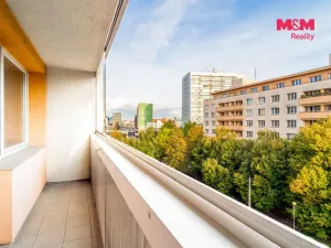 Prodej bytu 1+kk, Pardubice - Zelené Předměstí, Palackého třída, 31 m2