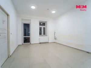 Pronájem obchodního prostoru, Plzeň - Jižní Předměstí, Tylova, 36 m2