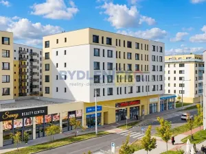 Prodej bytu 2+kk, České Budějovice, České Vrbné, 71 m2