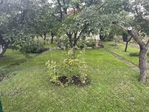 Pronájem zahrady, Praha - Strašnice, Dolínecká, 400 m2