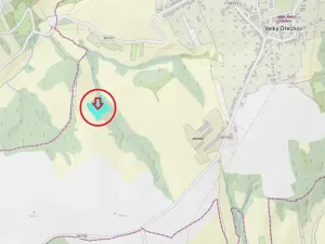Prodej podílu lesa, Velký Ořechov, 2457 m2
