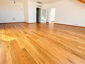 Prodej bytu 2+kk, Praha - Karlín, Jirsíkova, 73 m2