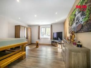 Prodej rodinného domu, Plzeň - Východní Předměstí, Stanko Vodičky, 158 m2