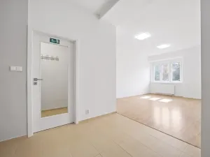 Prodej bytu 2+kk, Praha - Michle, Hodonínská, 50 m2
