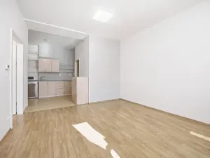 Prodej bytu 2+kk, Praha - Michle, Hodonínská, 50 m2