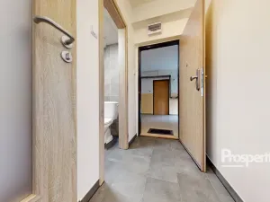 Pronájem bytu 1+1, Ústí nad Labem - Ústí nad Labem-centrum, SNP, 30 m2