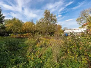 Prodej rodinného domu, Moravskoslezský Kočov, 90 m2