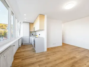 Prodej bytu 3+kk, Praha - Karlín, Nekvasilova, 57 m2