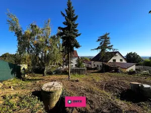 Prodej pozemku pro bydlení, Olšany, 6031 m2