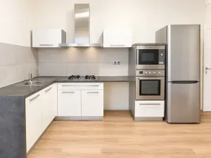 Prodej bytu 1+kk, Brno, 49 m2
