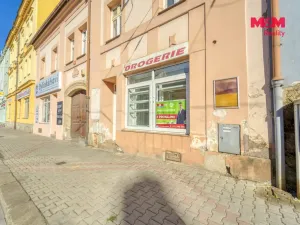 Pronájem obchodního prostoru, Plzeň - Východní Předměstí, Slovanská, 100 m2