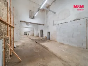 Pronájem výrobních prostor, Štěnovice, Plzeňská, 1366 m2