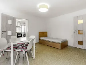 Pronájem bytu 2+1, Kaplice, 48 m2