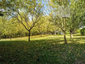 Prodej ubytování, Koryčany, 296 m2