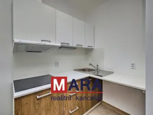 Pronájem bytu 1+kk, Olomouc, Přichystalova, 47 m2