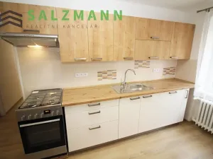 Pronájem bytu 2+1, Plzeň, Zámečnická, 60 m2