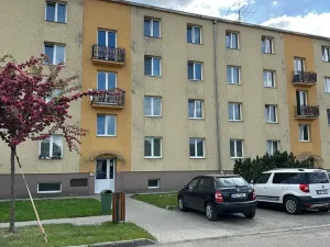 Prodej bytu 2+1, Týnec nad Sázavou, Družstevní, 53 m2