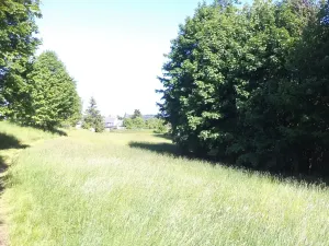 Dražba pozemku, Staré Křečany, 1188 m2