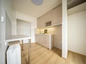 Pronájem bytu 3+1, Brno, Loosova, 69 m2