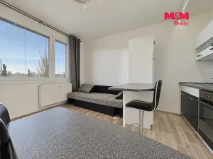 Pronájem bytu 1+kk, Chomutov, Bezručova, 20 m2