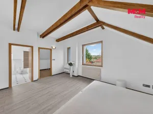 Prodej rodinného domu, Březová-Oleško - Oleško, Východní, 295 m2