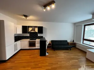 Pronájem bytu 1+kk, Dolní Břežany, Náměstí Na Sádkách, 40 m2