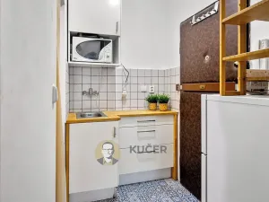 Pronájem bytu 1+kk, Praha - Vinohrady, V Horní Stromce, 22 m2