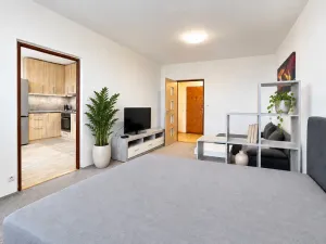 Pronájem bytu 1+1, Zlín - Prštné, Svat. Čecha, 44 m2
