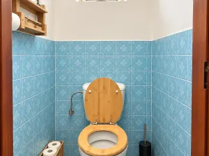 Prodej rodinného domu, Čejkovice, 250 m2