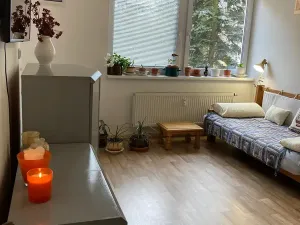 Prodej bytu 2+kk, Mariánské Lázně, Franze Kafky, 54 m2