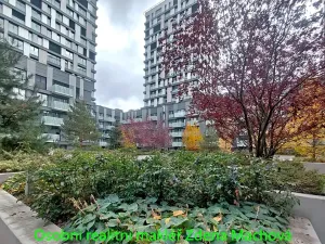Pronájem bytu 1+kk, Praha - Žižkov, Olšanská, 33 m2