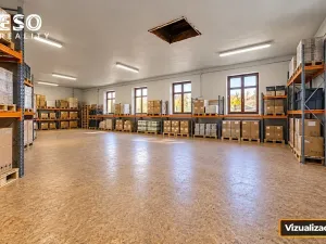 Prodej obchodního prostoru, Krnov, Krásné Loučky, 442 m2