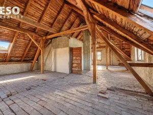 Prodej obchodního prostoru, Krnov, Krásné Loučky, 442 m2