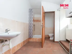 Prodej obchodního prostoru, Církvice, 340 m2