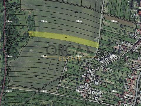 Prodej zemědělské půdy, Medlovice, 4802 m2