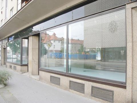Pronájem obchodního prostoru, Hradec Králové, Gočárova třída, 159 m2